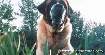 This iconic Stephen King thriller is getting remade as Netflix movie