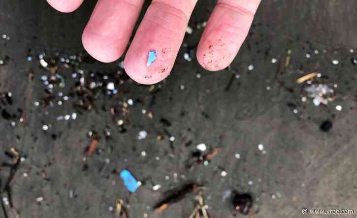 How microplastics may be stoking antibiotic resistance