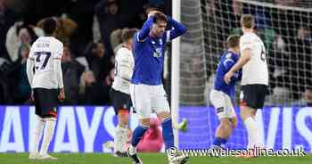 Poor Cardiff City player ratings as too many go missing on dismal night