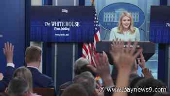 White House insists Trump won't slash Social Security, Medicare in wake of Musk comments