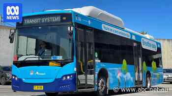 Potential link between NSW e-buses and slave labour under investigation