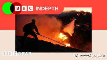 Why wildfires are becoming faster and more furious