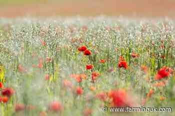 Fury as Defra confirms sudden closure of SFI applications