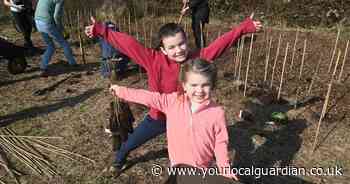 Volunteers gather to plant hundreds of trees in Morden Park