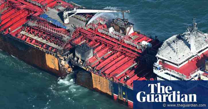 Experts warn of North Sea collisions devastating impact on marine life