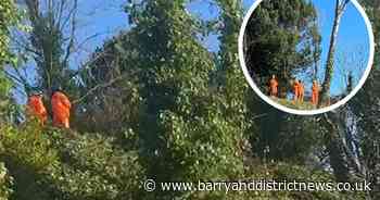 Network Rail under fire for tree felling on Clement Place, Barry