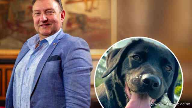 Begraven worden met je huisdier, in Bornem mag het binnenkort misschien wel: “Voor ouderen is gezelschapsdier vaak beste vriend”