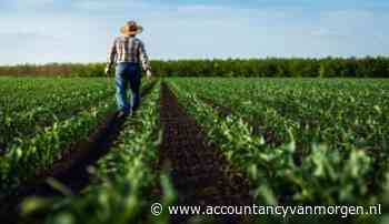 Zorgen over witwasconstructie in arbeidsintensieve sectoren