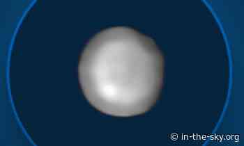 12 Mar 2025 (8 hours away): Asteroid 8 Flora at opposition