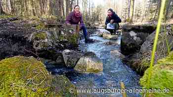 „Löst absolutes Glücksgefühl aus“: Die Aufwertung der Stadtwald-Bäche geht voran