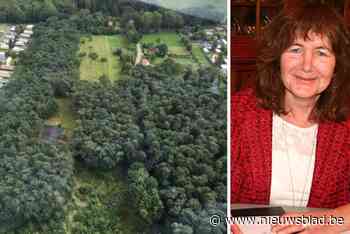 Ontwikkelaar wil nieuw vakantiepark bouwen in recreatiezone: “We beperken het aantal woningen om voldoende ruimte voor groen te houden”