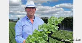 Nederlands stel actief in Nieuw-Zeelandse aardbeienteelt