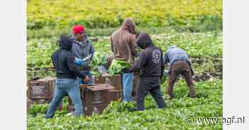 Kamerdebat over strengere wetgeving voor arbeidsmigratie