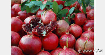 Nederland belangrijkste afnemer Peruaanse granaatappelen