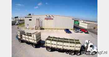 Omzet Mission Produce +29% in Q1-2025