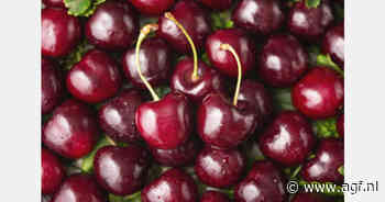 1300 containers kersen vernietigd