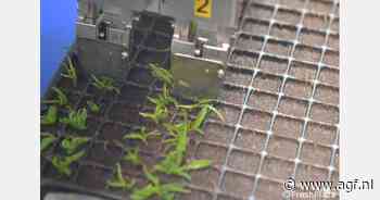 "Inzetten op lokaal rassenprogramma om biodiversiteit te verhogen"