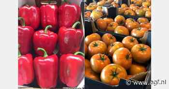 "Marokkaanse export bron van spanning voor Europese telers"