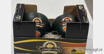 Senegalese watermeloenen in trek met zonnige weer