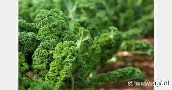 Minder asperge, meer boerenkool