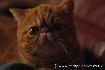 Magnum highlights cracking chocolate in slow-motion spots