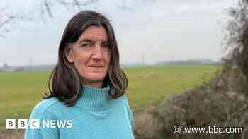 Campaigner calls pylon cash incentive 'patronising'