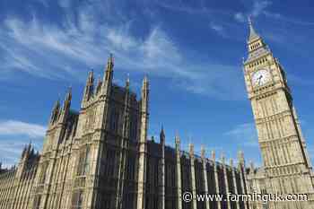 New bill seeks to introduce fairer pricing for farmers