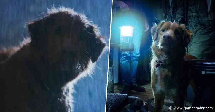 Good Boy, a new scary movie told from a dog's POV, is being called "one of the best horror films of the year"