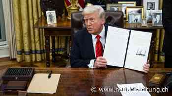 Trumps Stahl-Zölle richten in den USA grossen Schaden an