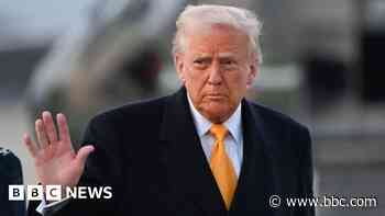 Trump halts plan for 50% steel and aluminium tariffs on Canada