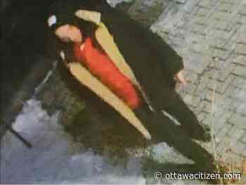 Police seek 'person of interest' in Vanier fire last December