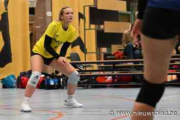 VOLLEYBABBELS. Real Wetteren op dubbeljacht, revanche voor VC Delhaize Lede en Mevoc Meerbeke krijgt titel in het vizier