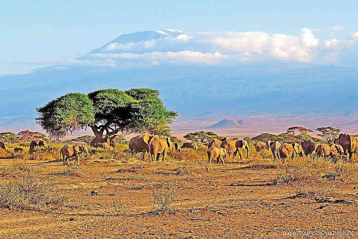 Was tut sich im Afrika-Tourismus?