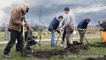 Vrijwilligers planten haag rond de stadsboerderij: "Ik dacht dat het om hangplanten zou gaan"