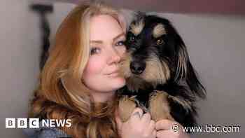 Crossbreed dog Scruffts trophy 'amazing' says owner