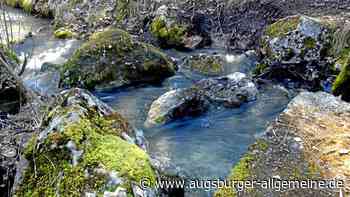 Weltwasserwoche in Augsburg mit mehr als 50 Veranstaltungen