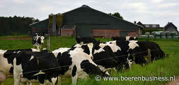 FrieslandCampina boekt alvast ledenwinst in België