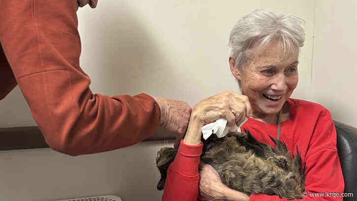 LA woman reunited with cat presumed lost in devastating Palisades Fire