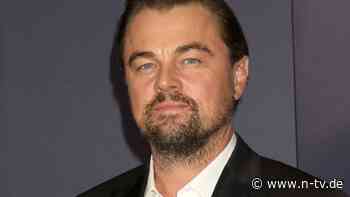 Regenwald-Rodung trotz Verbot: Leonardo DiCaprio kritisiert Australiens Regierung