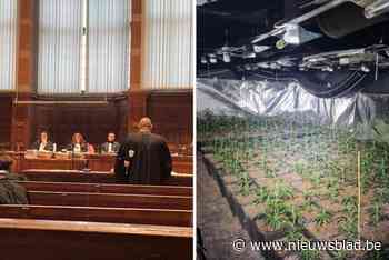 Tot drie jaar cel voor betrokkenen bij cannabisplantage