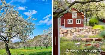 Frühling in Franken: Die schönsten Ausflugziele - Tipps aus unserer Redaktion