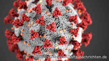 Coronavirus Wuhan-Labor: BND kannte unbequeme Wahrheit zum Ursprung der Pandemie