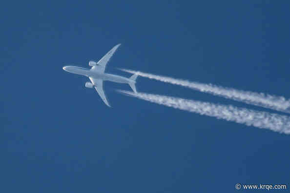 Passenger attacked flight attendant, swallowed rosary beads on plane to Miami: court docs