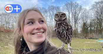 Wanderung mit Eulen im Erlebniswald Trappenkamp