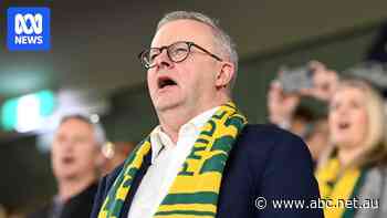 Albanese invokes 'Team Australia' in pitch to buy local after Trump tariffs