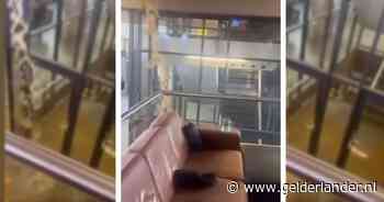 KIJK | Waterval aan poep golft kwartier lang door de gangen van deze universiteit