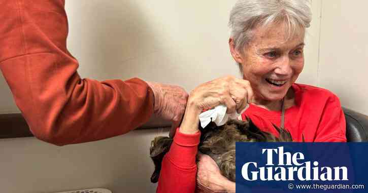 ‘Don’t underestimate cats’: Los Angeles feline uses up one of nine lives surviving wildfire