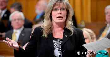 Former Winnipeg MP, Tory leadership hopeful calls for new conservative party in Manitoba