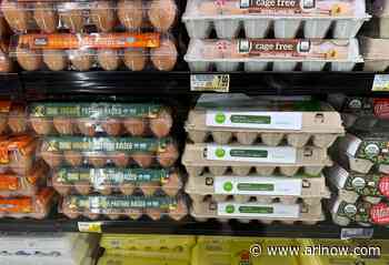 As egg costs continue to soar, local restaurants mull price hikes