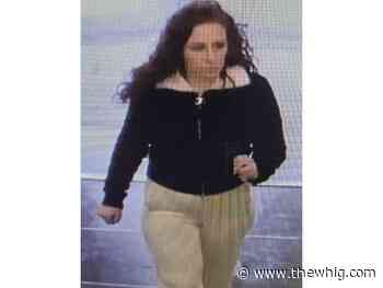 Kingston Police search for fraud suspect